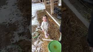 Kids Feeding Farm animals