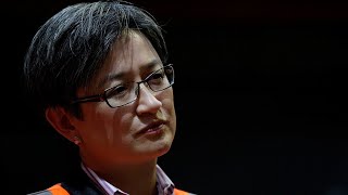 Nicolle Flint's bullying allegations are 'deeply unfair': Penny Wong