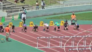 H29　千葉県高校総体　男子110mH　準決勝2組