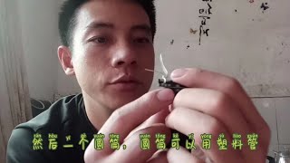 网友要的收树洞蜂教程来了，教你个简单装置难收的蜂都一网收尽！