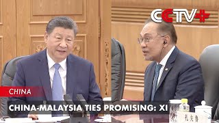 China-Malaysia Ties Promising: Xi