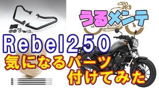 【REBEL250】バイクを地球から守ってみた【はんめちゃんねる】【うるメンテ】