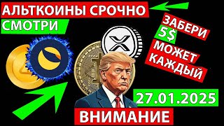 👑 ОЧЕНЬ СРОЧНО СМОТРИ ПЕРСПЕКТИВЫ АЛЬТКОИНОВ НА КРАТКОСРОК ✅ БИТКОИН ПРОГНОЗ TRUMP