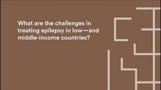 What are the Challenges in Treating Epilepsy in Low- and Middle-Income Countries?