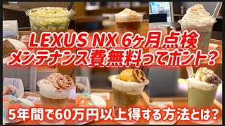 【LEXUS】レクサスNX6ヶ月点検❗️メンテナンス費用は本当に無料❓金額以上のサービスに感動‼️