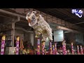 泰国南仙龙狮体育会 nam sieng dragon u0026 lion dance activity centre