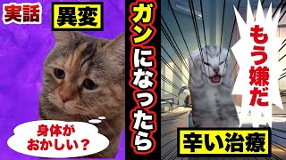 【実話】ガンになった俺の生活がヤバかった　#猫マニ #猫ミーム #cat #末路