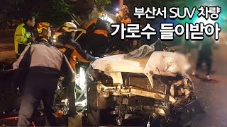 부산서 SUV 차량 중앙분리대용 가로수 들이받아…2명 사상 / 연합뉴스 (Yonhapnews)