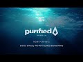 purified radio 338