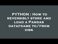 PYTHON : How to reversibly store and load a Pandas dataframe to/from disk