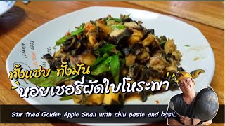 หอยเชอรี่ผัดใบโหระพา : Stir fried Golden Apple Snail with chili paste and basil.