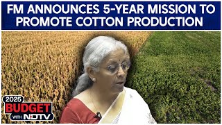 Union Budget 2025 | FM Sitharaman Announces 5-Year Mission To Promote Cotton Production