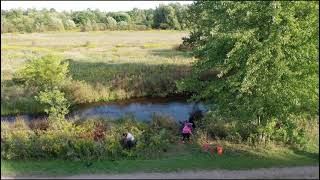 Courtcliffe Park Tree Planting