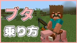 【マイクラ】ブタの乗り方について