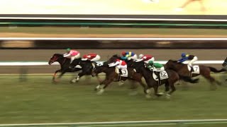 【現地】ショウナンマリーナ 戸崎圭太 3歳未勝利