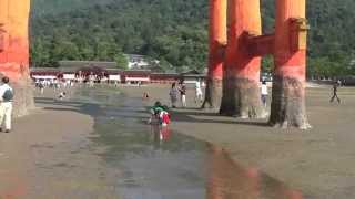 厳島神社　干潮時