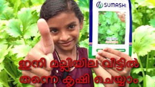 how to grow coriander seeds very fast #മല്ലി വിത്ത് മുളപ്പിക്കുന്ന വിധം