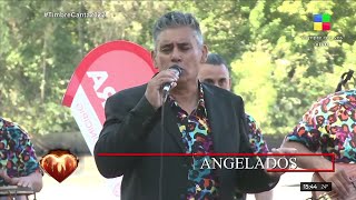 Pasion de Sabado / Tigre Canta 2022 -  Grupo Angelados