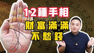 12种暴富手相：财富满满，不愁钱！#手纹 #手相 #事业 #掌纹 #面相 #预测 #财运 #财富 #感情 #风水 #八字 #传统文化 #聚财纹 #钱 #赚钱 #偏财运 #palmistry