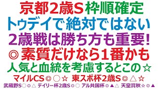 京都2歳ステークス枠順確定2021　トゥデイイズザデイで断然ではない！  かなりの混戦です。