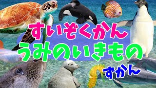 【海の生き物・お魚図鑑】水族館や海のお魚さんたちが、いっぱい登場する動く図鑑です。ペンギンやイルカ、サメやクジラ、アザラシ、ラッコなどなど。海や水族館のお魚の名前を覚えてね。