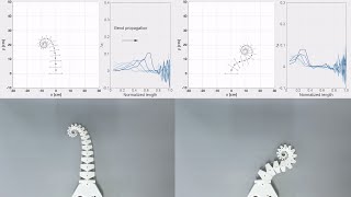 Octopus-like Soft Spiral Robot