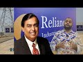 reliance met city new sector launched sector 21 near delhi border u0026 kmp aiims iit cricket stadium