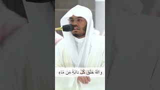 والله خلق كل دابة من ماء...تلاوة خاشعة و مميزة من سورة النور للشيخ د. ياسر الدوسري