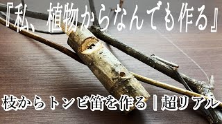 簡単自然遊び｜枝笛の作り方｜超リアルなトンビの鳴き声｜トンビ笛｜