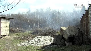 Березнівський Чорнобиль: здоров'ю людей загрожує деревний бізнес