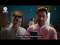 indigo paints interior silver telugu 15 sec hd