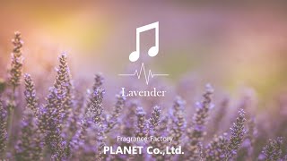 ～香りを形にする～　株式会社プラネット公式 イメージSong　【Lavender】