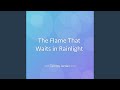 The Flame That Waits in Rainlight