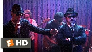 The Blues Brothers 1980 - Rawhide Scene 59  Movieclips