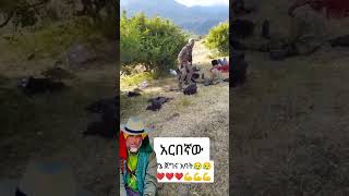 አርበኛ መሳፍንት በጎጃም ሙዚቃ ፈታ ሲል ከድል መልስ #ፋኖ #ሰበርዜና #ethiopian #እስክስታ #ሀይሌሚዲያ #ሰብስክራይብ_ያድርጉ #ፋኖ