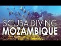 Scuba Diving Bazaruto Island in Mozambique