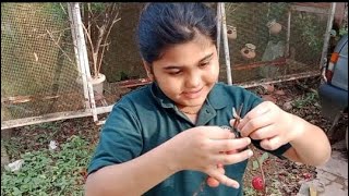 നിങ്ങളുടെ  വായിൽ കപ്പലോടും 😋😋