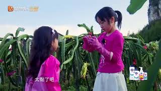 《爸爸去哪儿5》精彩看点：天使一样的姐姐！被neinei暖哭 Dad Where Are We Going S05【爸爸去哪儿官方频道】