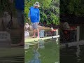 shorts raccoon paddle boarding