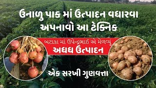 ઉનાળુ પાકો  માં ઉત્પાદન વધારવા અપનાવો આ ટેક્નિક /