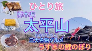 【ひとり旅】栃木県・太平山桜まつりで三大名物グルメを食す・うずまの鯉のぼり、太平山神社、太山寺のしだれ桜、巴波川、蔵の街