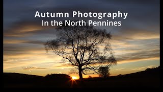 Photographing the last of the Autumn colours in the North Pennines using in Camera Aspect Ratios