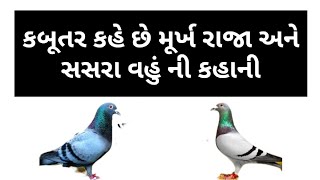 કબૂતર કહે છે મૂર્ખ રજા અને સસરા વહુ ની કહાની, હૃદય ને સ્પર્શ તેવી કહાની.