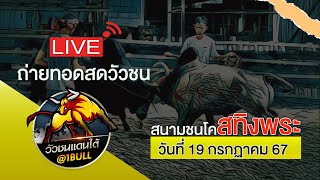 🔴ถ่ายทอดสด สนามชนโคสทิงพระ วันที่ 19 กรกฏาคม 67 #วัวชนวันนี้ #วัวชน1bull #สทิงพระ