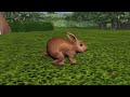 හිතුවක්කාර හා පැංචා sinhala cartoon 3d animation