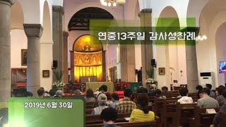 연중13주일 감사성찬례 - 2019년 6월 30일