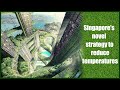 How Singapore Uses Science to Stay Cool | What is the cooling system invented by Singapore?