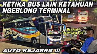 Bus Lain Ketahuan Ngeblong Terminal ⁉️ Auto Kejar 😱| trip Sugeng Rahayu W 7485 UP “ Boboho Channel “