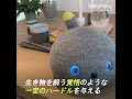 ボロボロが一緒に生きてきた証　マイペースなロボット「nicobo」に会ってきた【動画ライター】