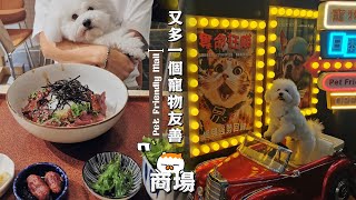 狗狗好去處🐶朗豪坊商場加盟Pet Friendly Mall😍分享商場一間新開餐廳及寵物百貨👏【小腳掌大世界🐾】